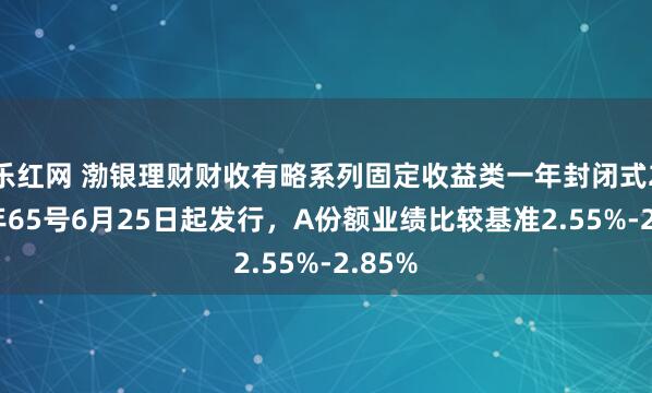 乐红网 渤银理财财收有略系列固定收益类一年封闭式2025年65号6月25日起发行，A份额业绩比较基准2.55%-2.85%