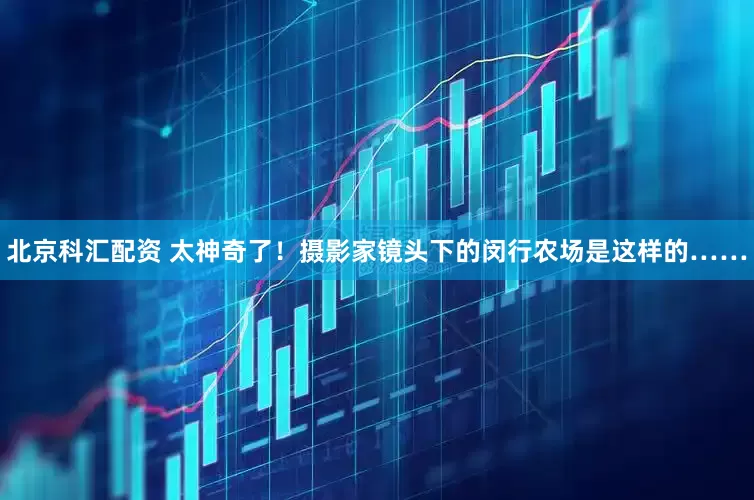 北京科汇配资 太神奇了！摄影家镜头下的闵行农场是这样的……